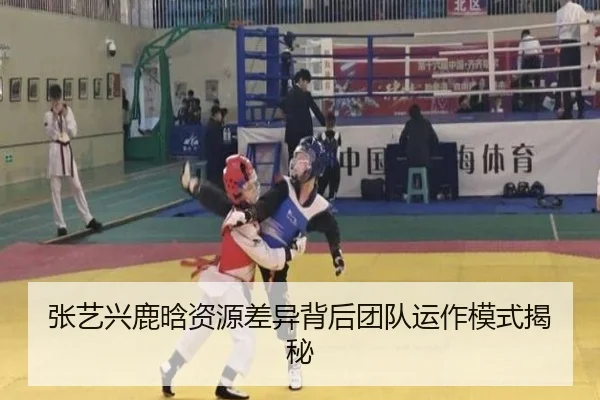 张艺兴鹿晗资源差异背后团队运作模式揭秘